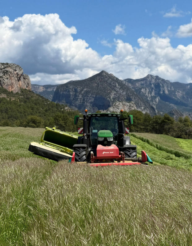 Imatge sobre Agricultura