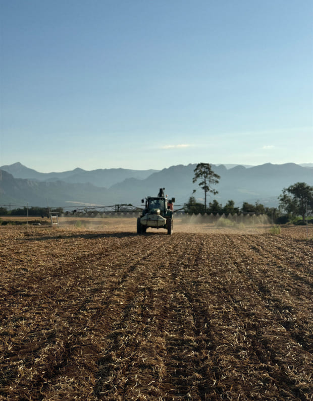 Imatge sobre Gestió d'explotacions agrícoles a Lleida