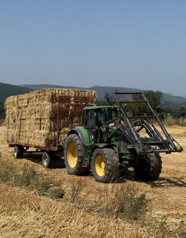 Imatge sobre Servei de recollida de collites a Lleida