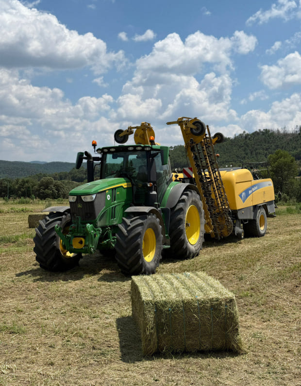 Imatge sobre Venda de palla a l'engròs